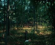 The Woods Are Real Movie Trailer HD - Plot synopsis:Joba and Quincy are a wealthy Brooklyn couple who value charity above all. But when a friend returns from a country pilgrimage to challenge their bleeding hearts, they accept an invitation that will change their lives forever.