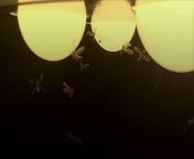 The Reason Why, Insects Are Attracted , to Artificial Light.&#60;br/&#62;Gizmodo reports that &#60;br/&#62;researchers believe they finally know &#60;br/&#62;why insects seem to be drawn to lights.&#60;br/&#62;New data suggests that bugs &#60;br/&#62;are not attracted to the light, &#60;br/&#62;as is commonly believed.&#60;br/&#62;Rather, researchers now believe that &#60;br/&#62;based on insects&#39; use of light sources to &#60;br/&#62;orient flight, artificial lights disorient bugs.&#60;br/&#62;The team&#39;s findings were published &#60;br/&#62;in the journal &#39;Nature Communications.&#39;.&#60;br/&#62;This has been a prehistorical &#60;br/&#62;question. In the earliest writings, &#60;br/&#62;people were noticing this around fire. , Jamie Theobald, Biologist at Florida International &#60;br/&#62;University and co-author of the study, via Gizmodo.&#60;br/&#62;It turns out all our &#60;br/&#62;speculations about why it &#60;br/&#62;happens have been wrong, Jamie Theobald, Biologist at Florida International &#60;br/&#62;University and co-author of the study, via Gizmodo.&#60;br/&#62;Researchers note that insects&#39; &#60;br/&#62;&#92;