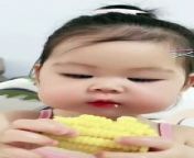 Baby Eating Boil Corn And Meet &#124; Hungary Babies &#124; Cute Babies &#124; Naughty Babies &#124; Funny Babies #baby #babies #beautiful #cutebabies #fun #love #cute #funny #babyvideos