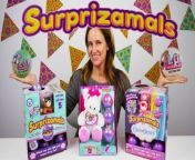 Watch Amy Jo open LOL Surprise! Dolls Glitter Series and Lil Sis, and brand new Series 5 and Carebears Surprizamals! What do you think about these adorable, high quality plushies?! If you&#39;d like to start your own collection, you can buy them in 50 countries, as well as online at the Surprizamals website:www.surprizamals.comHope you enjoyed seeing them!For more fun toy videos, check out my other channels: The Amy Jo Show and DCTC School.