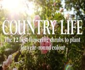 Country Life The 12 Best Flowering Shrubs To Plant For Year-Round Colour In Your Garden.