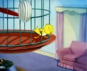 Tom And Jerry - 034 - Kitty Foiled (1948) S1940e34