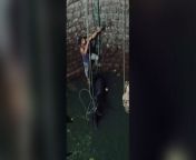 Locals staged a daring rescue attempt after a bull fell in a well - using ropes to winch the animal to safety.&#60;br/&#62;&#60;br/&#62;Footage shows men climbing down to save the stricken animal, which got into trouble in India last week (March 15).&#60;br/&#62;&#60;br/&#62;They then attach ropes to a winch and left the bull out - who appeared unharmed, according to reports.&#60;br/&#62;&#60;br/&#62;The bull is said to have been rampaging through the area and fighting with cows before falling headfirst into the well.