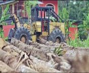 A 62 year-old retiree was killed in a freak accident near his Cushe village, Rio Claro home on Thursday.&#60;br/&#62;&#60;br/&#62;The father of two was overseeing the moving of logs by a tractor when tragedy struck.&#60;br/&#62;&#60;br/&#62;He had spent recent years gardening and even gathered a significant social media following for his frequent posts on country life and home-grown, home-cooked meals.&#60;br/&#62;&#60;br/&#62;Reporter Cindy Raghubar-Teekersingh met with his relatives on Friday for more on this story.