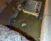 &#39;Death trap’ drain cover on A24 at Findon is scheduled for repairs.&#60;br/&#62;Photo courtesy of Eddie Mitchell