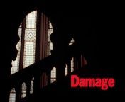 Damage is a 1992 romantic psychological drama film directed and produced by Louis Malle and starring Jeremy Irons, Juliette Binoche, Miranda Richardson, Rupert Graves, and Ian Bannen.