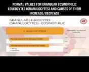 Normal values for granular eosinophilic leukocytes and causes of their increase/decrease #bloodcells