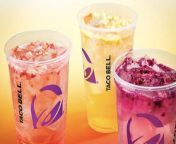 For the next five weeks, Taco Bell is testing new Agua Refrescas in Southern California. The beverages have an energizing green tea base and are infused with fruit flavors and mixed with real freeze-dried fruit pieces.
