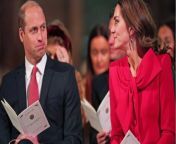 Prince William and Kate Middleton: The couple are under 'unmanageable pressure', according to expert from amateur college couple
