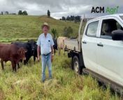 Grazier Don Kirchner on his property Templin Hills, west of Boonah. Video by Alison Paterson.