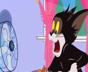 The Tom And Jerry Show Episode 2 _ Tom And Jerry Cartoon Network Movies 2016 from wwwbig black cock network com