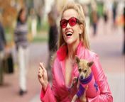 It looks like there&#39;s a new &#39;Legally Blonde&#39; TV show in the works…what like it&#39;s hard? Reese Witherspoon and her Hello Sunshine banner is teaming up with Amazon to develop a &#39;Legally Blonde&#39; TV series. &#39;Gossip Girl&#39; and &#39;The O.C.&#39; grads Josh Schwartz and Stephanie Savage are attached to write the TV offshoot.