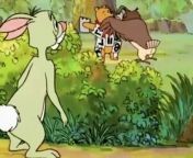 Winnie the Pooh S01E10 How Much is That Rabbit in the Window from winnie nyazi