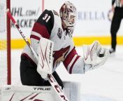 Canucks vs Coyotes: Predictions on Vancouver's potential win? from tristan james
