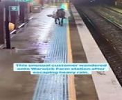 A bizarre video shows a horse galloping down a train station platform and seemingly waiting fora train as baffled commuters look on.