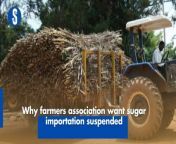 Sugar cane farmers have appealed to the government to immediately suspend any further importation of sugar. https://rb.gy/fd8f12
