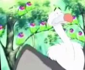 Noah's Island Noah’s Island S02 E003 Something to Squawk About from squawk