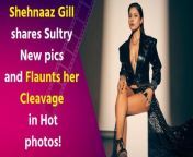 Actress Shehnaz Gill, who made her debut with Salman Khan&#39;s reality show &#39;Bigg Boss&#39; and his film &#39;Kisi Ka Bhai Kisi Ki Jaan&#39; Recently shared some Sultry new pictures, seeing which fans are praising her. In the pictures, the actress is seen in a glamorous style wearing a leather jacket. Shehnaaz often remains in the headlines due to her pictures and videos.&#60;br/&#62;&#60;br/&#62;#shehnaazgill #photoshoot #shehnaazgillviralvideo #trending #viral #celebupdate #bollywood #viralvideo #celebrity