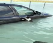 A cat gets rescued by a kind police officer during the worst rainfall in 75 years in Dubai.