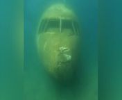 Deep sea footage inside sunken passenger plane mistaken for MH370Deep Blue Dive Center