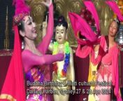 Buddha's Birthday Multicultural Festival , Darling Harbour, 27 Apr 2024 from darling rosenshort xxx