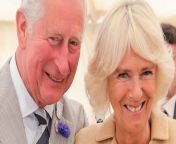 King Charles has cancer, and while he is soon returning to royal duties, many have been left with lingering questions about what might happen if the cancer takes his life. Would Camilla stay queen? Here&#39;s what we know.
