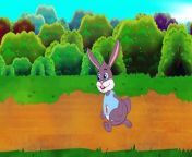 Tortoise and the Hare CartoonFairy Tales and Bedtime Stories for Kids_Story time. from harion