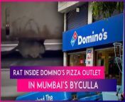 A shocking video from a Domino’s outlet in Mumbai has surfaced online. The “disgusting” video allegedly shows a rat running inside a pizza oven at the Domino’s outlet located on Clare Road in Byculla, Mumbai. The video was shared by an X user named Aslam Merchant, a social activist. Merchant tagged the food department in his post, urging the Food and Drug Administration (FDA) to take action against the outlet for its alleged unhygienic conditions. Merchant claimed that the video was recorded on March 18, 2024. Watch the video to know more.&#60;br/&#62;