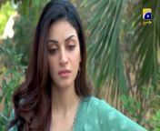 Shiddat Episode 28 Promo _ Tomorrow at 8_00 PM only on Har Pal Geo from neha misra pal