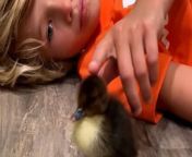 Duckling who was rejected by all the other ducks does the happiest tail wag when they finally accept her