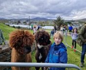 There was music, alpacas, face painting, games, rock art and more on offer at the Barrack Hill Easter Trail on Bank Holiday Easter Monday with the Easter bunny also putting in an appearance. 