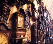 Two brothers who own the world’s biggest collection of cuckoo clocks will spend three days moving 750 timepieces forward one hour this weekend - by hand.&#60;br/&#62;&#60;br/&#62;Roman, 71 and Maz Piekarski, 69, have spent five decades sourcing their pendulum-driven machines, which are on display at their &#39;Cuckooland&#39; museum in Cheshire. &#60;br/&#62;
